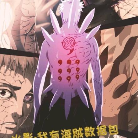 火影:我有海贼数据包
