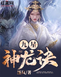 九星神龙诀完结版